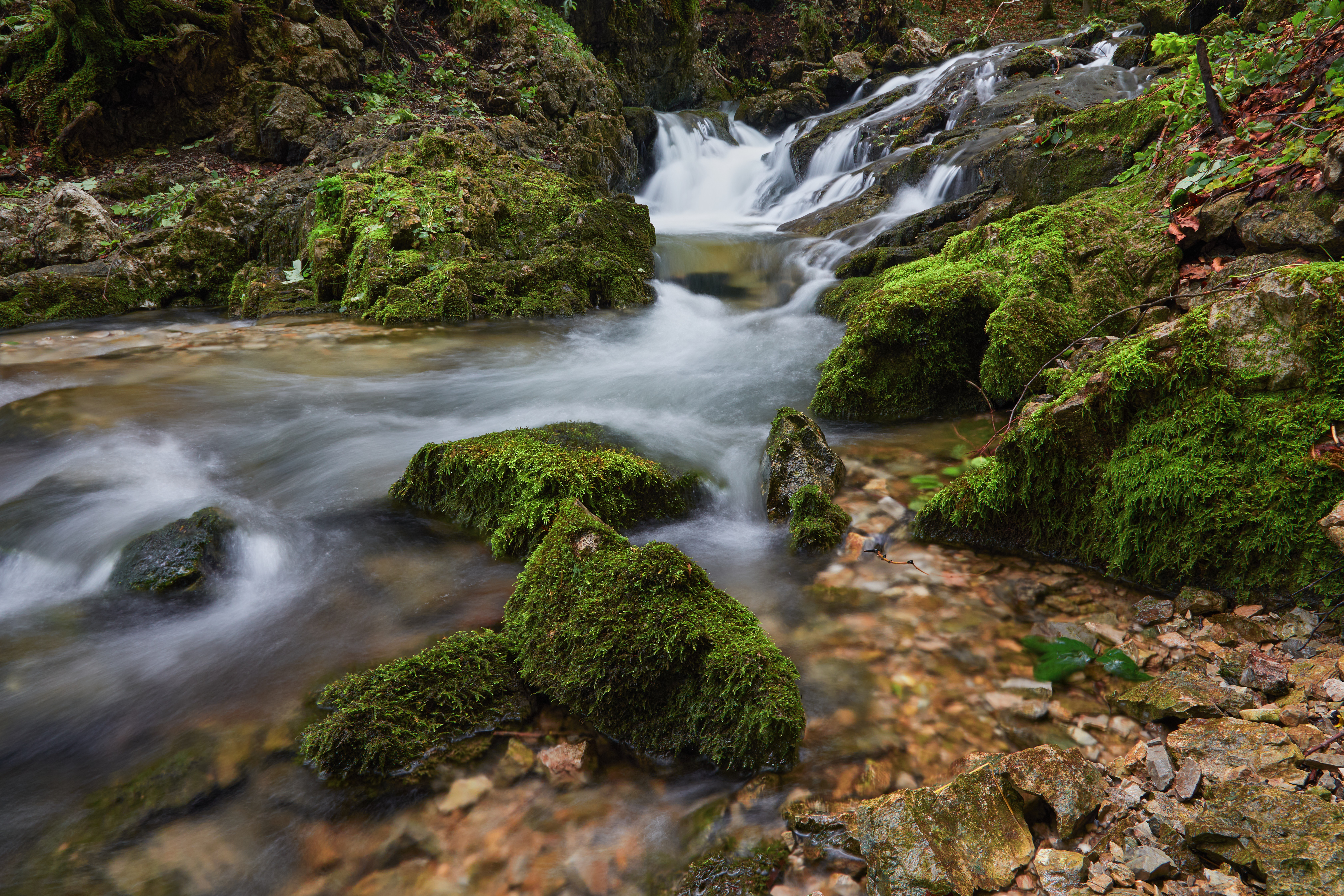 20230901 Josefstaler 219 Helicon